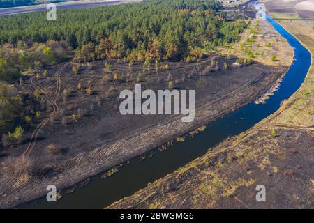 Vue aérienne terre brûlée et troncs d'arbres après un feu de printemps dans la forêt. Champ noir brûlé. Incident extraordinaire. Conséquences d'un incendie de forêt Banque D'Images