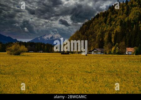 Les belles alpes bavaroises en automne Banque D'Images