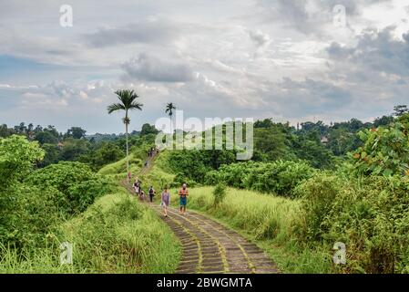 BALI, INDONÉSIE - 18 JANVIER 2019 : les touristes se promondent au coucher du soleil le long de la magnifique promenade Campuhan Ridge juste à l'extérieur d'Ubud, Bali, Indonésie. Banque D'Images