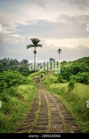 BALI, INDONÉSIE - 18 JANVIER 2019 : les touristes se prominent le long de la magnifique promenade Campuhan Ridge juste à l'extérieur d'Ubud, Bali, Indonésie. Banque D'Images