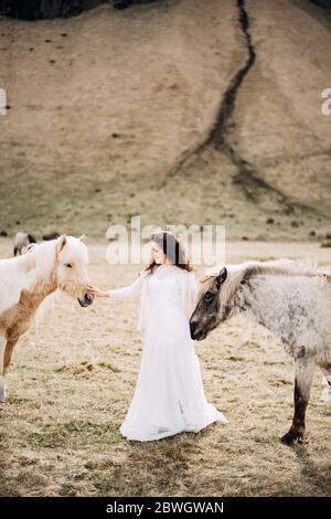 La mariée fait deux courses simultanément. Destination Islande mariage séance photo avec des chevaux islandais. Banque D'Images