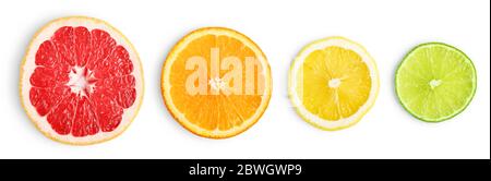 Tranches de citron vert, de pamplemousse, d'orange et de citron isolées sur fond blanc Banque D'Images