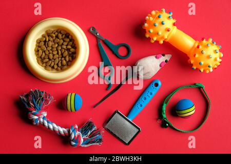 Concept de soin et de formation des animaux. Composition de pose plate avec accessoires pour chien et chat sur fond rouge. Banque D'Images