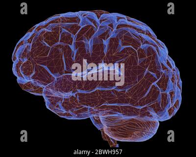 3D illustration. Cerveau humain dans une structure de connexions polygonale représentant le pouvoir de l'esprit. Chemin de détourage inclus. Banque D'Images