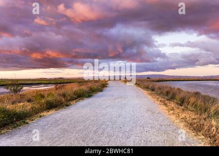 Grand sentier de randonnée traversant les terres humides restaurées de la baie de San Francisco Sud; nuages spectaculaires au coucher du soleil couvrant le ciel; Mountain View, Californie Banque D'Images