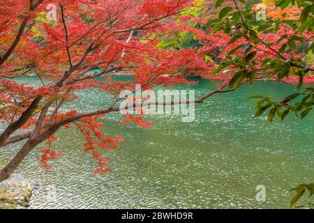 Belles couleurs d'autum dans la région d'Arashiyama, Kyoto, Japon Banque D'Images