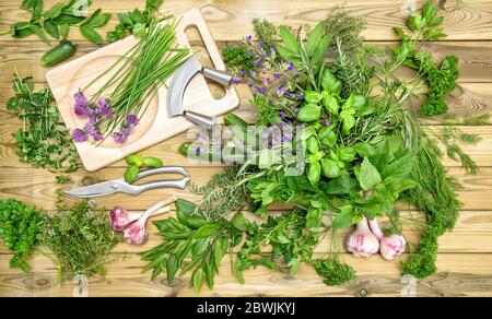 Herbes et légumes. La nourriture. Basilic, persil, menthe, thym, concombre, ail Banque D'Images