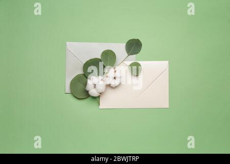 Belles fleurs de coton, enveloppes et feuilles d'eucalyptus sur fond de couleur Banque D'Images