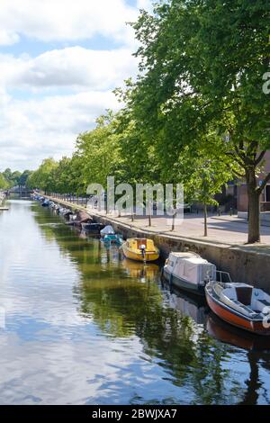 La Haye, pays-Bas - Mai 15 2020 : Canal avec réflexion de bateaux et d'arbres, rue remplie de voitures et de maisons à la Haye, pays-Bas Banque D'Images