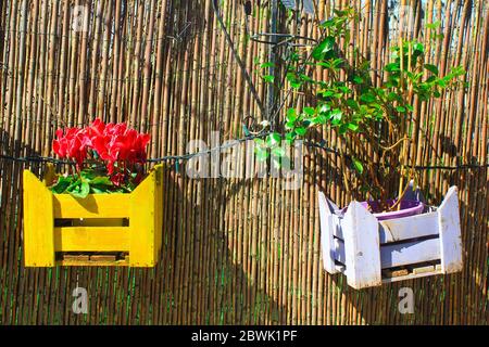 Caisses décoratives en bois sur la clôture d'un jardin. Banque D'Images