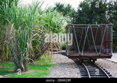 Train de canne ou tramway de canne dans le nord du Queensland avec sucre de canne Banque D'Images