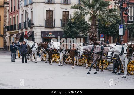 Séville, Espagne - 17 janvier 2020 : tour de ville en calèche stationnaire sur la Plaza del Triunfo, petite place et lieu de rencontre populaire à Séville connu pour Banque D'Images