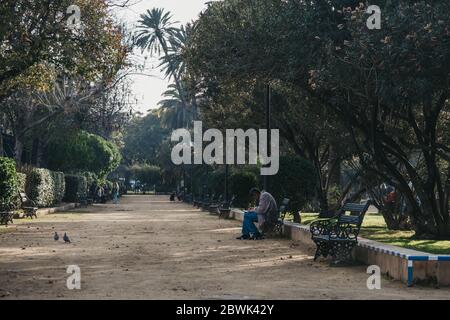 Séville, Espagne - 17 janvier 2020 : homme assis sur un banc, dessin à Jardines de Murillo, parc urbain de Séville avec allées pavées, bancs et ombre Banque D'Images