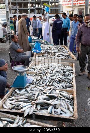 Marché de poissons de bord de mer à Muscat, Sultanat d'Oman. Banque D'Images