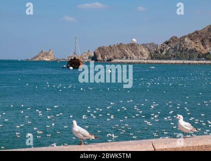 Vue sur la baie de Mutrah vers le brûleur à encens et les tours de guet, Muscat, Sultanat d'Oman Banque D'Images