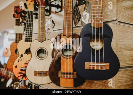 Istanbul Turquie 1er novembre 2019 variété une vaste sélection de guitares acoustiques dans la fenêtre du magasin de musique Banque D'Images