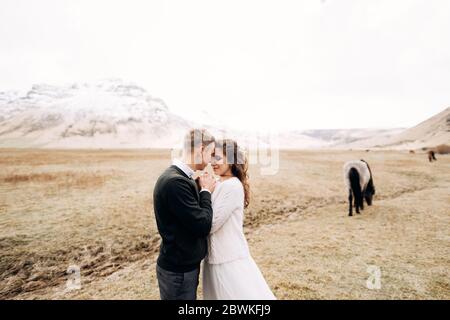 Destination Islande mariage séance photo avec des chevaux islandais. Le marié embrassait les mains de la mariée, devant son visage. Banque D'Images