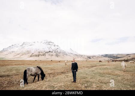 Destination Islande mariage séance photo avec des chevaux islandais. Un portrait épique de sexe masculin dans un champ d'herbe jaune, parmi les chevaux de pâturage, contre un Banque D'Images
