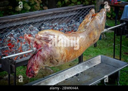 Mechoui, barbecue traditionnel d'agneau rôti. Viande rôtie sur un feu ouvert Banque D'Images
