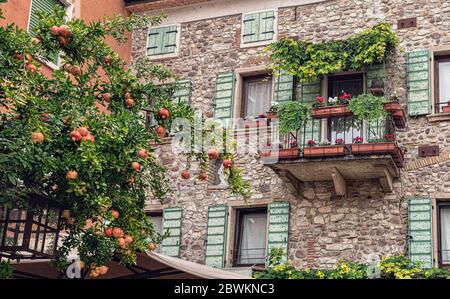 Lazise est une commune médiévale de la province de Vérone, dans la région italienne de Vénétie, située sur la rive est du lac de Garde Banque D'Images