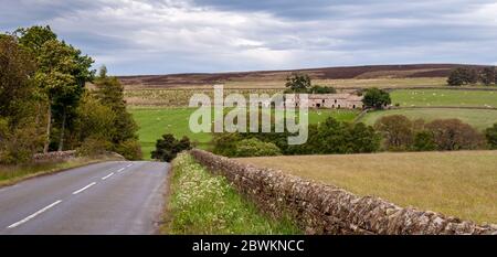 Un grand complexe de vieilles granges en pierre est partiellement ruiné dans les champs de pâturage de moutons dans la vallée de Derwent sous le douve de la colline des Pennines du Nord Banque D'Images