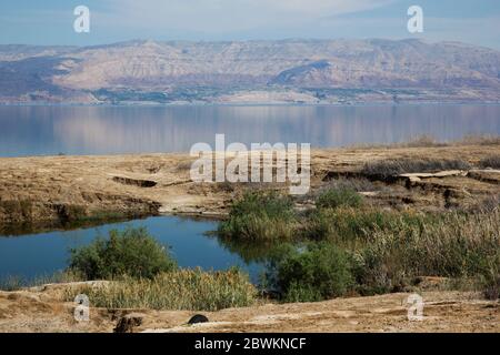 Ein Feshkha (arabe: عين فشخة‎; hébreu: עינות צוקים‎, Einot Tzukim Banque D'Images