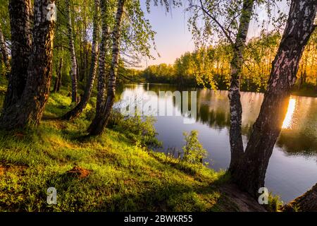 Lever ou coucher de soleil parmi les oiseaux avec de jeunes feuilles près d'un étang, réfléchi dans l'eau couverte de brouillard. Le soleil qui brille à travers les branches des arbres. Banque D'Images