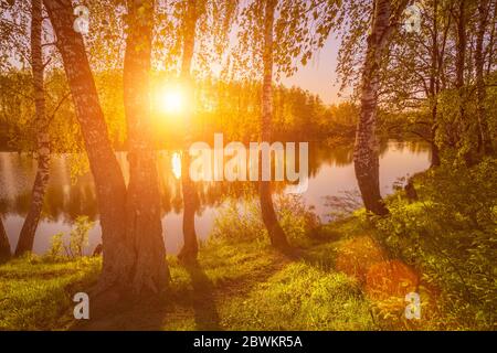 Lever ou coucher de soleil parmi les oiseaux avec de jeunes feuilles près d'un étang, réfléchi dans l'eau couverte de brouillard. Le soleil qui brille à travers les branches des arbres. Banque D'Images