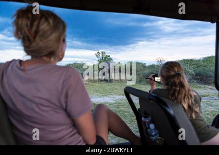 Deux personnes dans une jeep safari, une femme et une adolescente utilisant une caméra vidéo prenant des images d'un éléphant mature Banque D'Images