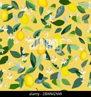 Motif sans couture avec feuilles, inflorescences et fruits citron sur fond jaune. Illustration vectorielle vert-jaune couleurs avec plantes. SPE 10 Banque D'Images
