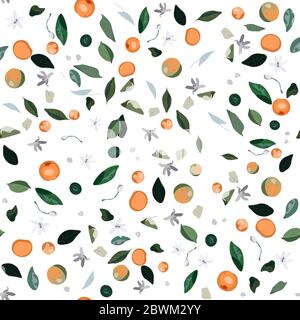 Motif sans couture avec feuilles, inflorescences et arbre orange de fruits sur fond blanc. Illustration du vecteur de plante de maison en pot. Fleurs et mandari Banque D'Images