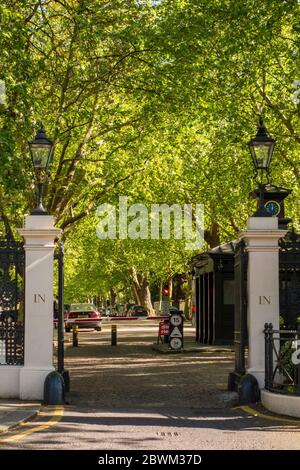 Portes d'entrée nord de Kensington Palace Gardens, milliardaires Row, de Notting Hill Gate, Londres, Royaume-Uni Banque D'Images