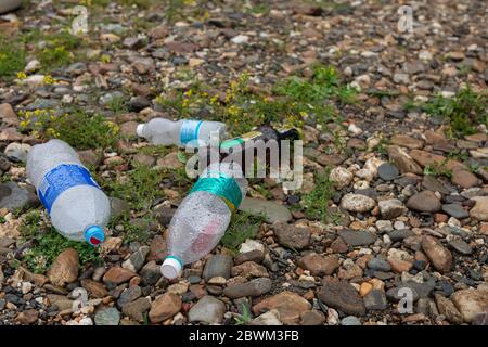 bouteilles en plastique, déchets jetés sur l'herbe. Décharge de déchets en forêt. Concept de déchets plastiques et alimentaires. Banque D'Images