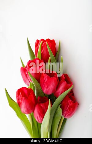 Bouquet de tulipes rouges isolé sur fond blanc. Cadeau tendre pour le jour de la mère, le jour de la femme, le jour de la Saint Valentin concept. Photo verticale, vue rapprochée. Banque D'Images