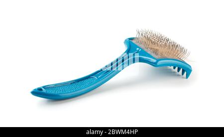 Cheveux du chat sur la brosse isolée sur fond blanc Banque D'Images