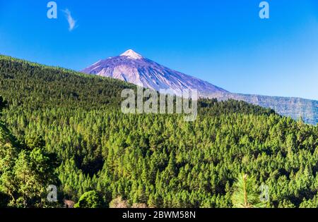 Randonnée dans la vallée d'Oratava depuis la Caldera avec une vue imprenable sur le mont Teide Tenerife Banque D'Images