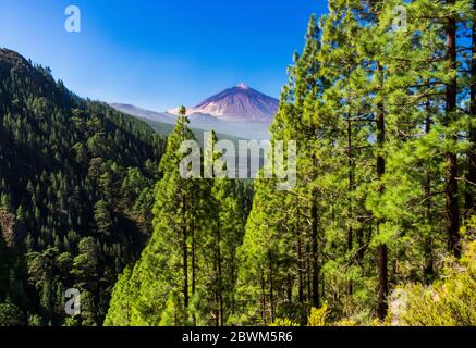 Randonnée dans la vallée d'Oratava depuis la Caldera avec une vue imprenable sur le mont Teide Tenerife Banque D'Images