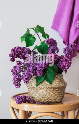 Lilas violets dans un panier sur un tabouret et serviette violette accrochée au mur Banque D'Images