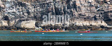 Bar Harbour, Maine, Etats-Unis - 29 juillet 2017 : un groupe de kayaks pagayant autour de l'islnad de la procupine et des eaux de Bar Harbor Maine USA. Banque D'Images