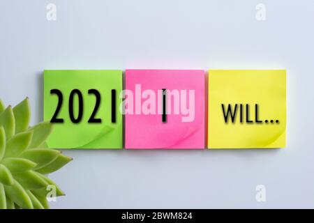 Plante d'origine en point doux, différentes couleurs de notes adhésives avec l'affiche 2021 je vais... sur fond blanc Banque D'Images