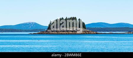 Une très petite île de Frenchmans Bay, Bar Harbour Maine, avec de grands arbres et rochers à feuilles persistantes. Banque D'Images