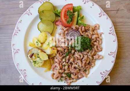 Crabe de la mer du Nord avec des pommes de terre sautées et garnir de persil, l'aromatique de fruits de mer est un mets typique sur la côte en Frise, dans le nord de l'Allemagne, le hig Banque D'Images