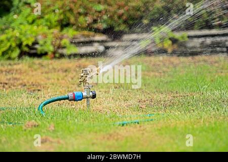 Tuyau vert alimentant le métal. Arroseur de jardin rotatif à impulsions, qui projette de l'eau sur la pelouse et les arbustes, avec un mur en pierre et des parterres de fleurs surélevées en arrière-plan. Banque D'Images