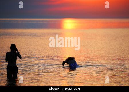 Les membres du public apprécient le soleil se lever à la baie d'Helen, dans Co. En bas de l'Irlande du Nord, alors qu'ils prennent un plongeon dans la mer d'Irlande. Credit: Jonathan porter/Alay Live News Banque D'Images