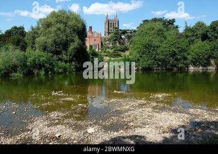 Hereford, Herefordshire UK - Mardi 2 juin 2020 - Cathédrale de Hereford vue de la rive sud du Wye - après des semaines de faible pluie, la rivière Wye à Hereford est très basse avec la lecture officielle au pont de Hereford s'enregistrant à seulement 5 cm. En février 2020, le Wye mesurait plus de 6 mètres au même endroit, causant des inondations dans certaines parties de la ville. Photo Steven May / Alamy Live News Banque D'Images