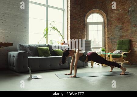 Asana. Jeune femme sportive de prendre des cours de yoga professionnels en ligne et de pratiquer à la maison. Concept de mode de vie sain, bien-être, bien-être, à la recherche de nouveaux passe-temps. Flexible et motivé. Banque D'Images