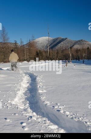 Mont Carrigain du bassin versant de Meadow Brook le long du sentier de la rivière Sawyer à Livermore, dans le New Hampshire, pendant les mois d'hiver. Banque D'Images