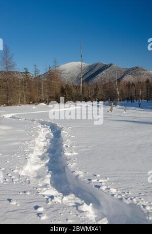 Mont Carrigain du bassin versant de Meadow Brook le long du sentier de la rivière Sawyer à Livermore, dans le New Hampshire, pendant les mois d'hiver. Banque D'Images