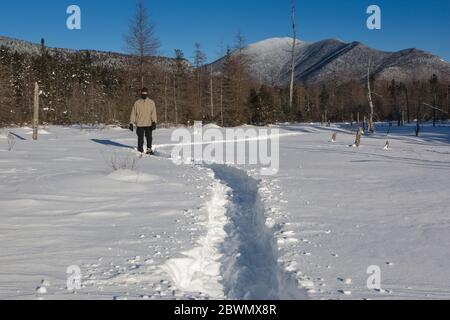 Mont Carrigain du bassin versant de Meadow Brook le long du sentier de la rivière Sawyer à Livermore, dans le New Hampshire, pendant les mois d'hiver. Banque D'Images