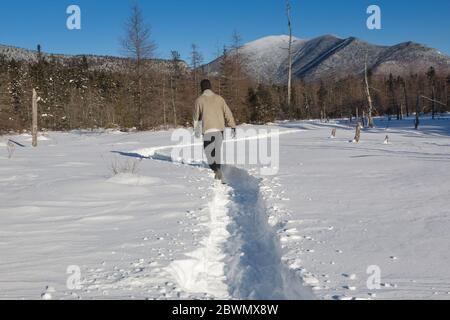 Mont Carrigain du bassin versant de Meadow Brook le long du sentier de la rivière Sawyer à Livermore, dans le New Hampshire, pendant les mois d'hiver. Banque D'Images